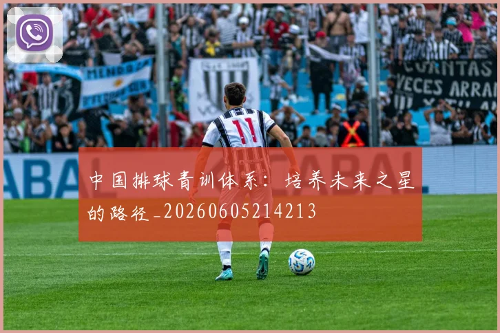 中国排球青训体系:培养未来之星的路径_20260605214213