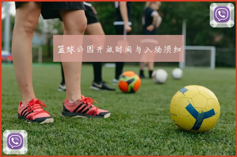 篮球公园开放时间与入场须知